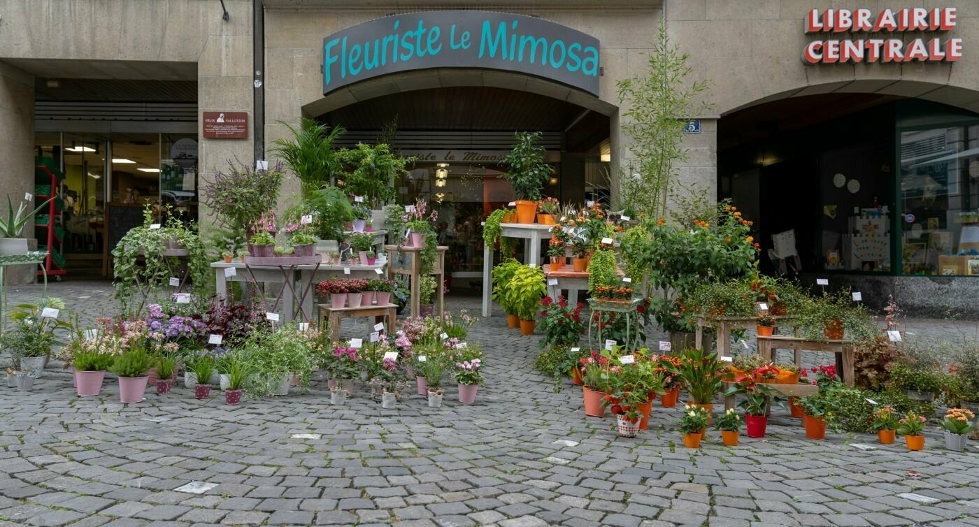 Blumenmarkt auf der Place de la Palud.