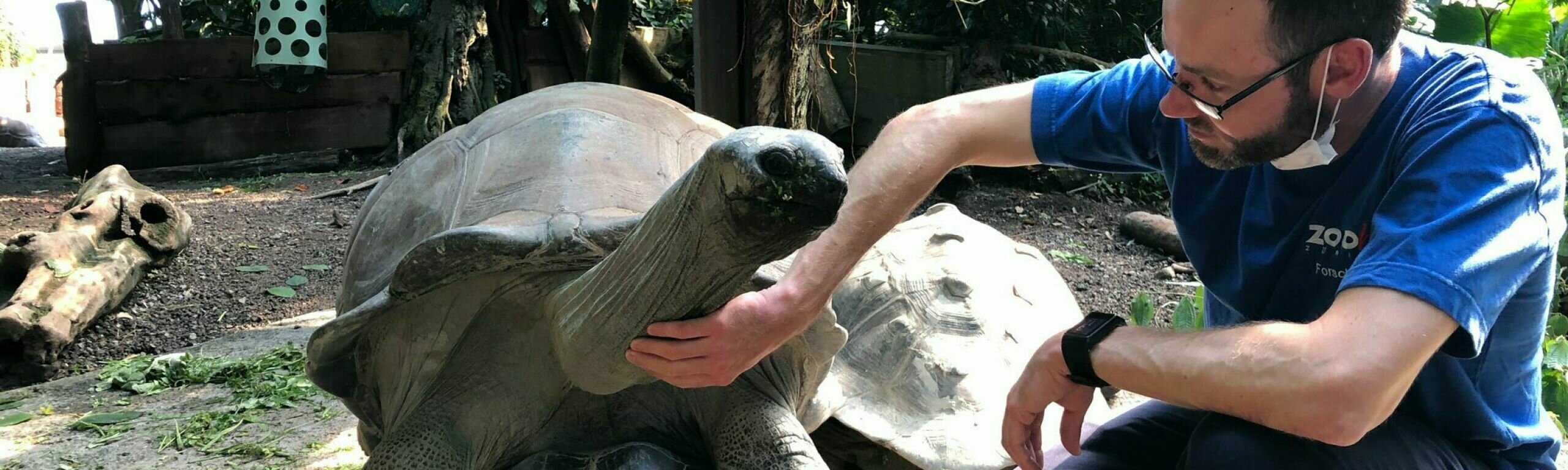 L'autore Andreas Eggimann accarezza una tartaruga gigante allo zoo.