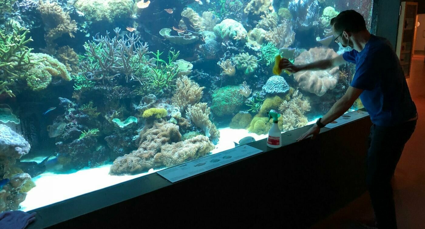 Un employé du zoo nettoie les vitres d'un aquarium.