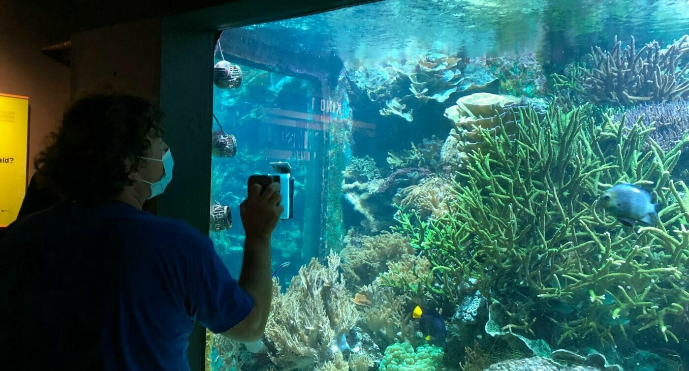 Zoomitarbeiter putzt Aquarium mit einem magnetischen Werkzeug. 