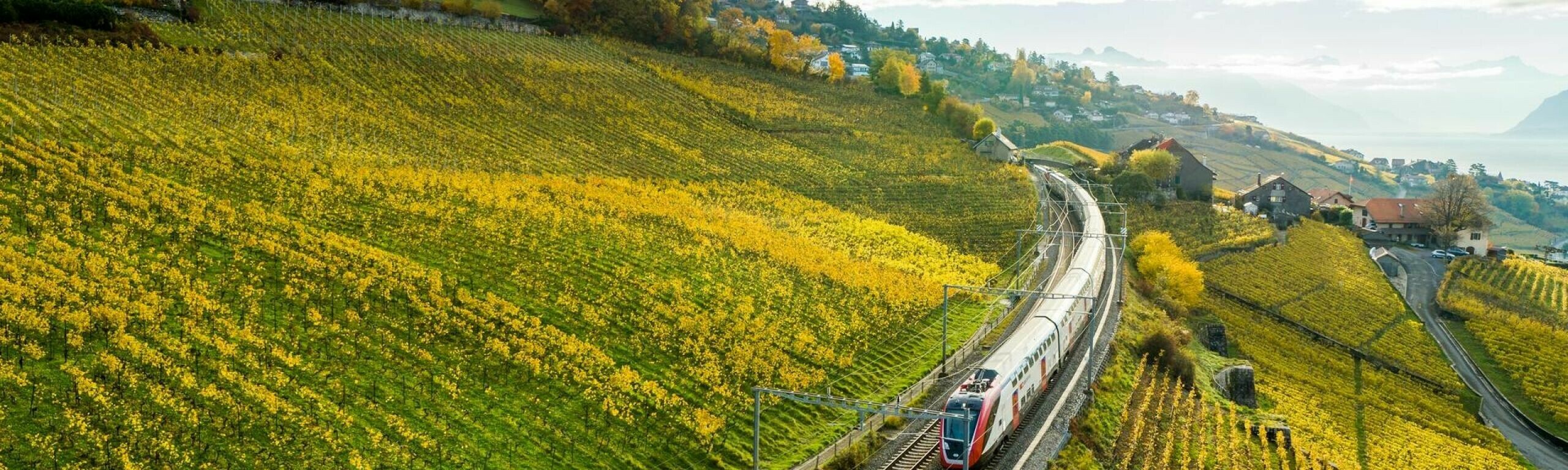Un train duplex circule dans les vignes du Lavaux